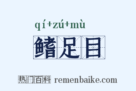 鳍足目是什么意思的图片